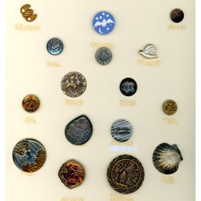 A partial card of division 1 & 3 animal life buttons
