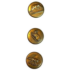 A small card of sporting hunt buttons.