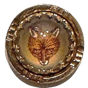 A division one pictorial steel cup button