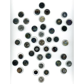 A card of division one assorted animal buttons