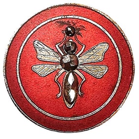 A division one enamel pictorial button