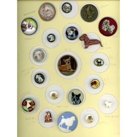 A card of division one assorted DOG buttons