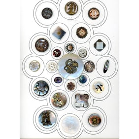 A card of division one assorted shell buttons