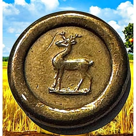 A division one metal pictorial button