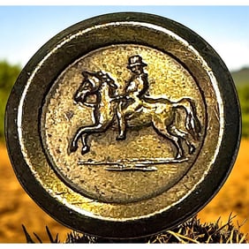 A division one metal pictorial button