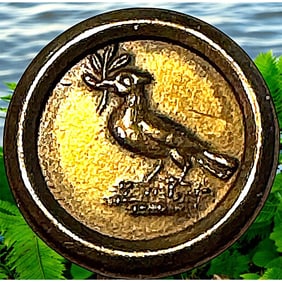 A division one metal pictorial button