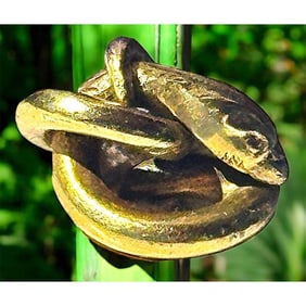 A division one pierced coiled snake button