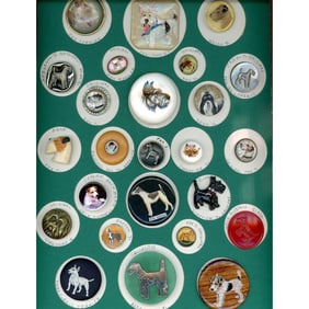 A card of division three assorted material Dog buttons