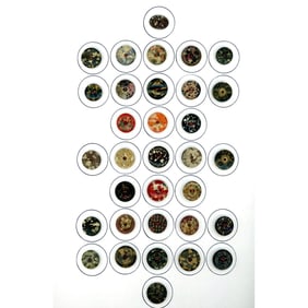 2 Cards of division one assorted inlay buttons