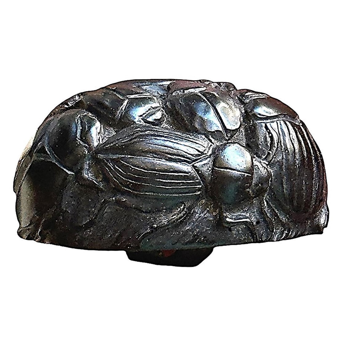 A division three studio artist button: 1 Large-Medium 21st century carved Beetles by Brad Elfrink. Brad is one of those extremely talented artists that is celebrated for his fine work in making studio buttons. This example from the collect