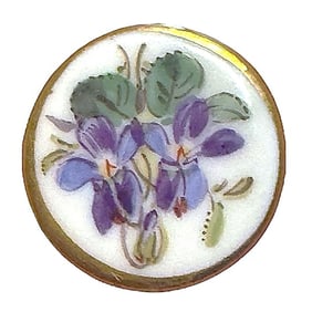A division one porcelain pictorial button