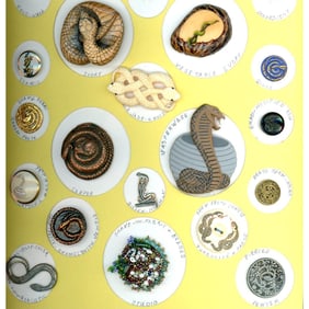 A partial card of division one and three snake buttons