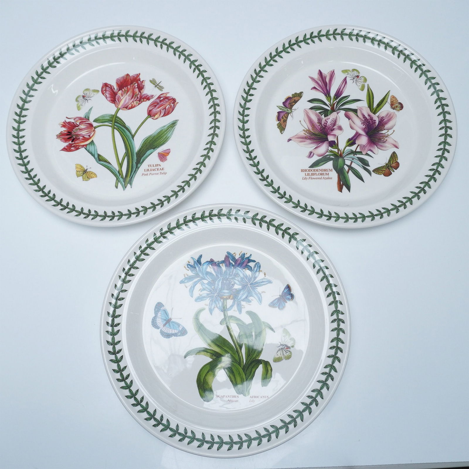 3pc Portmeirion Botanic Garden Set of Three Floral Plates (1 of 5)