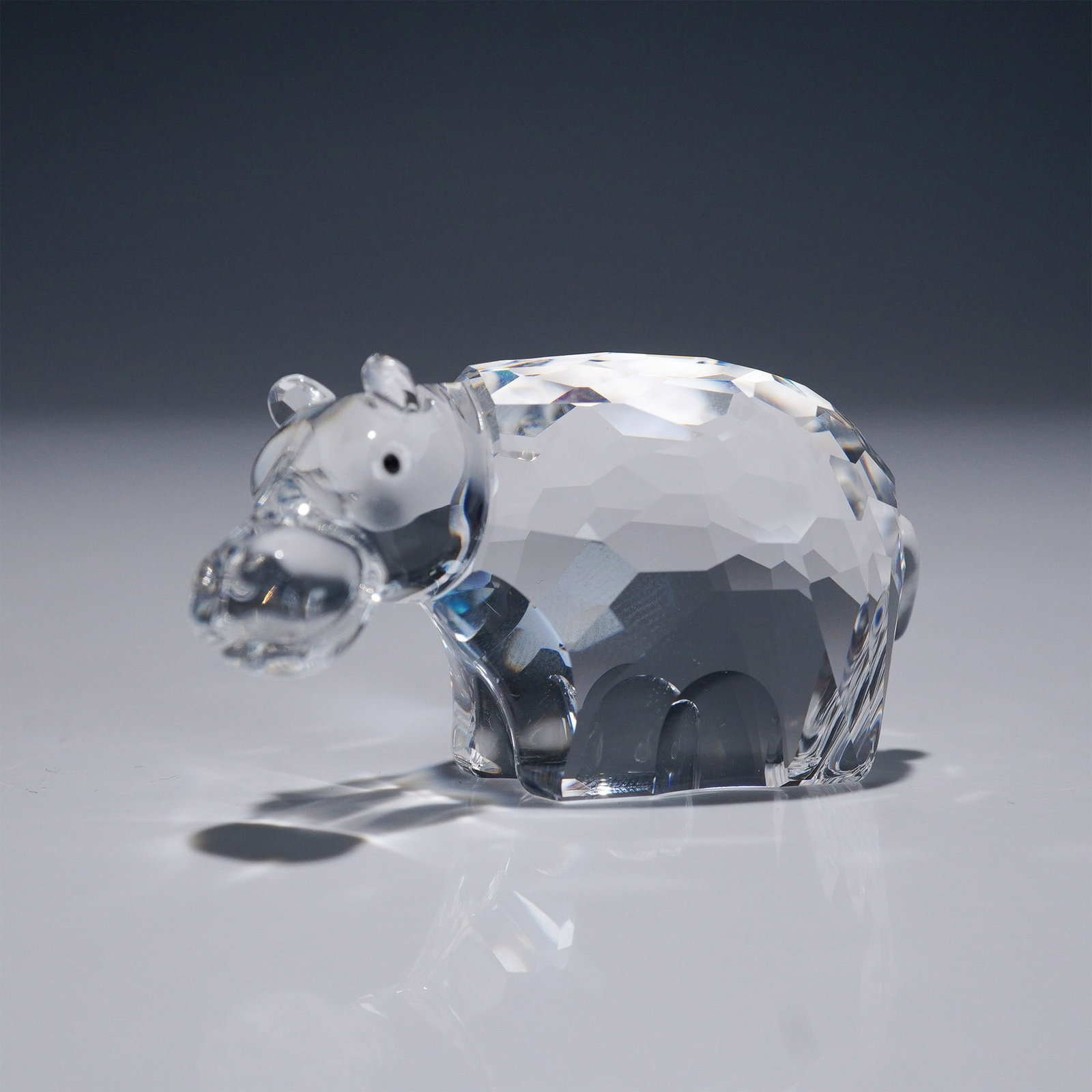 Swarovski Crystal Figurine, Hippopotamus 622940: Part of the "African Wildlife" theme. This piece is crafted from clear faceted crystal, featuring smooth detailing on the face, ears, tail, and legs. The figurine is accented with black crystal eyes. 