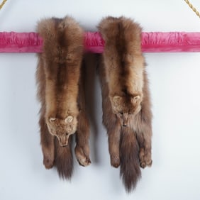 Pair of Authentic Fur Stoles, Full Pelt Design