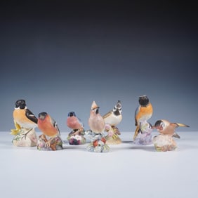 7pc Royal Worcester Bird Figurines, English & European Species