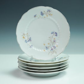 6pc Carl Tielsch Porcelain Bread and Butter Plates, Floral Design