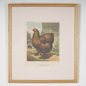 Cassells Poultry Book 19th-Century Chromolithograph, Partridge Cochin Hen