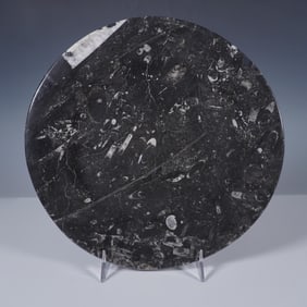 Orthoceras Fossil Stone Plate, Atlas Mountains Morocco