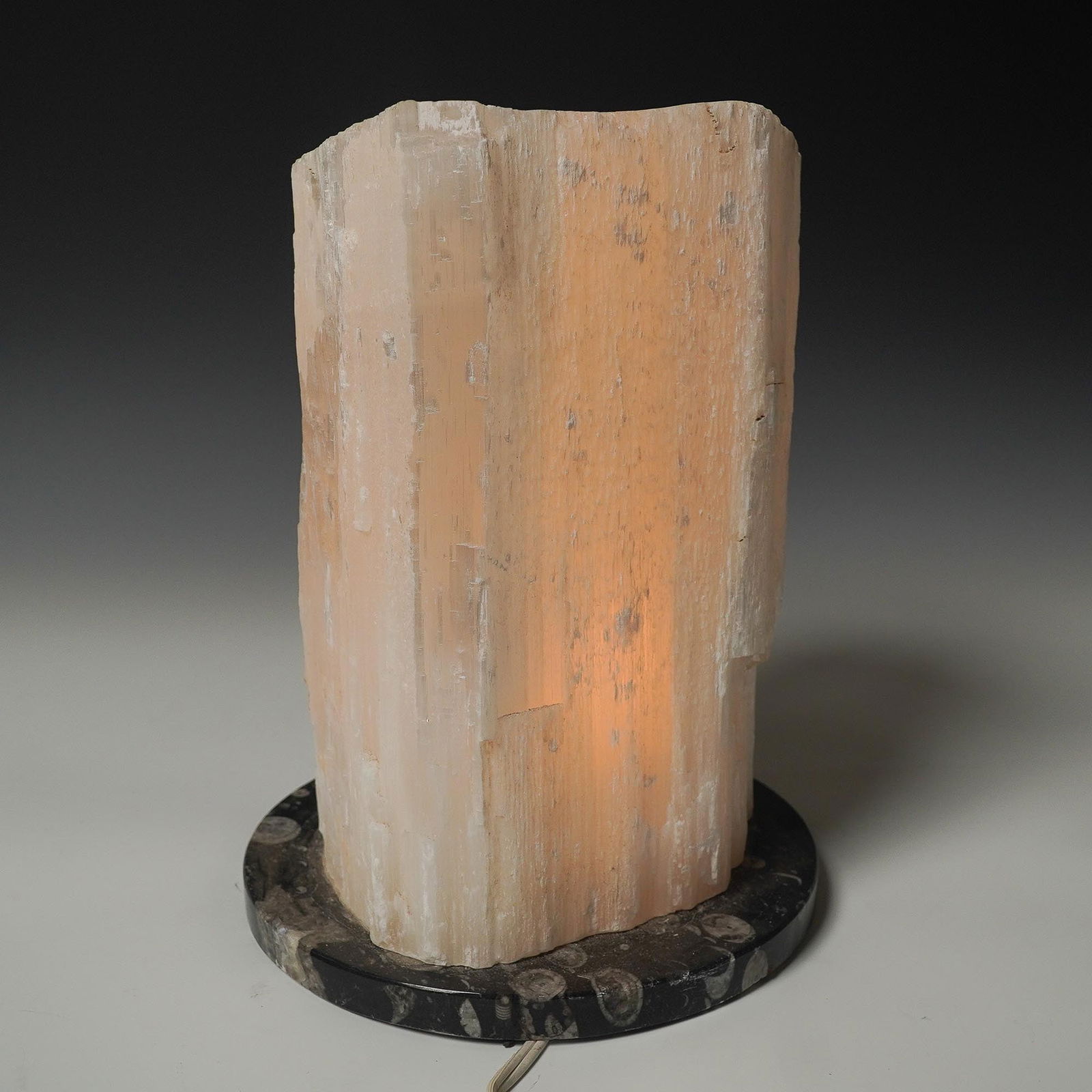 Natural Selenite Crystal Accent Lamp on Fossil Marble Base (1 of 3)