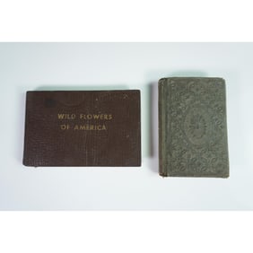 2 Vintage Books, Beauties of Blair and Wild Flowers of America