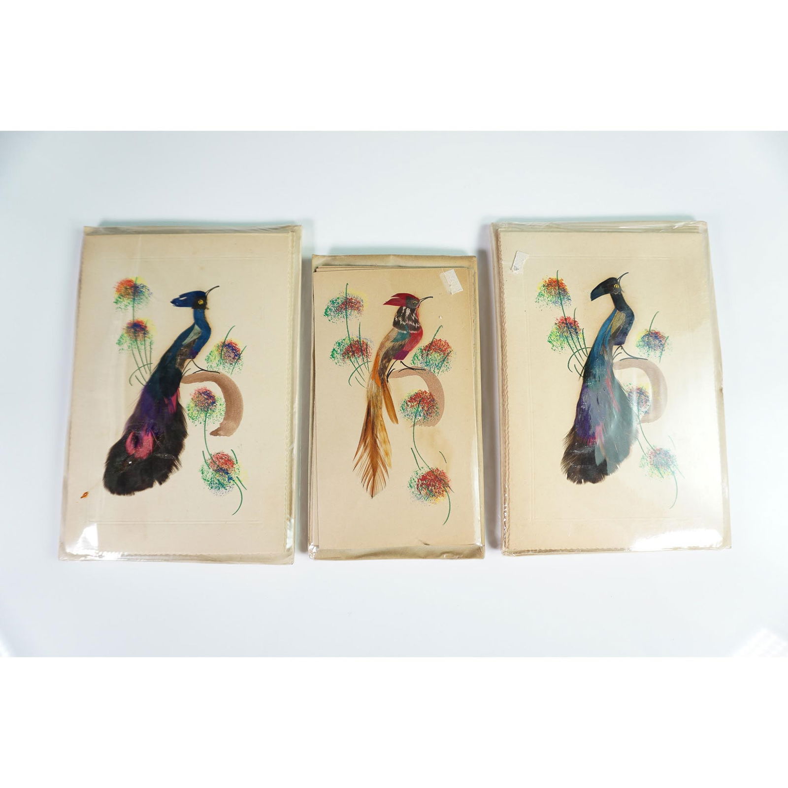 3 Packs of Hand-Decorated Feather Bird Greeting Card Sets: A charming set of three unopened packs of vintage-style greeting cards, each featuring exquisitely hand-decorated birds perched on branches, embellished with real feathers, vibrant ink, and colorful p