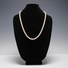 Japanese Akoya Cultured Pearl Necklace in Cream Tone
