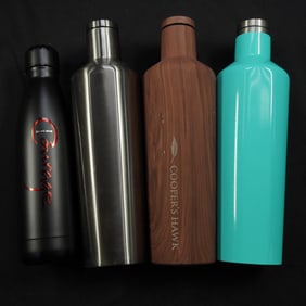 4pc Insulated Stainless Steel Bottles, Including Celine Dion Courage