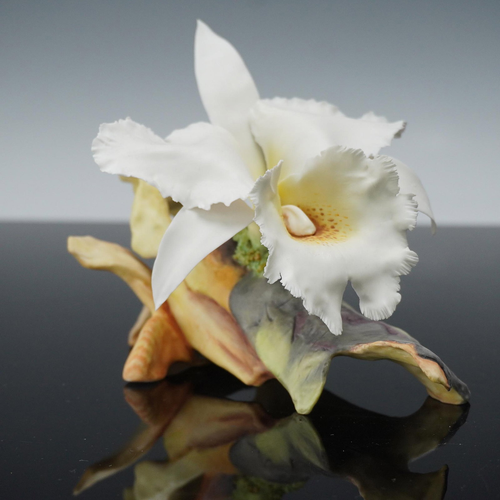 Connoisseur of Malvern Flower, Bow Bells Cattleya: Connoisseur of Malvern bone china floral sculpture titled Bow Bells Cattleya, part of the Flower of the Month Collection. Exquisitely crafted and hand-painted, this lifelike orchid displays ruffled wh