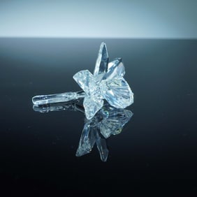 Swarovski Crystal Figurine, Orchid - Yellow Light Center