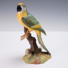 Royal Crown Derby Bone China Figurine, Macaw