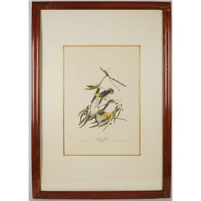 John James Audubon, Photo Offset Lithograph, Prothonotary Warbler, 1971