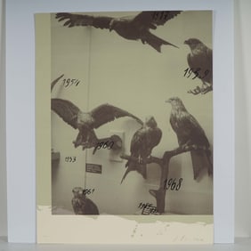 Andrei Roiter, Limited Edition Serigraph, Birds and Dates Motif, Signed