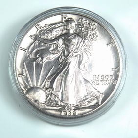1989 American Eagle Silver Dollar