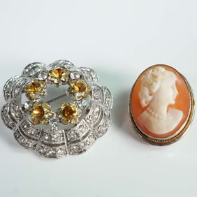 2pc 800 Silver and Silver-Plated Vintage Cameo and Floral Pins