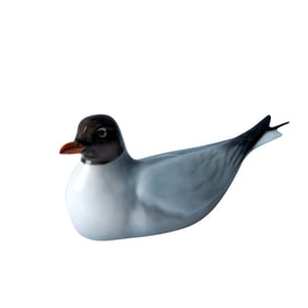 Royal Doulton Figurine, Black-Headed Gull - Male HN1195