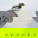 item-208705053=3