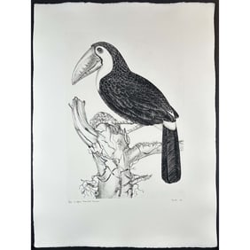 Jack Coutu (1924) Signed Etching, Sulphur Toucan