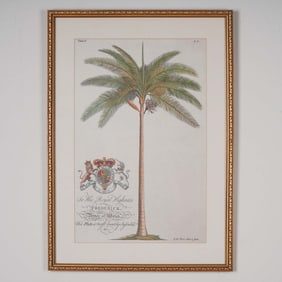 Framed Botanical Decorative Print After Georg Dionysius Ehret, Palm Tree