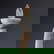 item-209320478=4