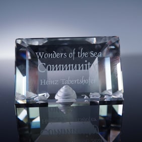 Swarovski Crystal Plaque, Wonders of the Sea Community 2007 with Box