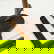 item-210466246=6