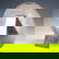item-210466400=6