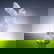 item-210494031=2
