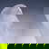 item-210494031=6