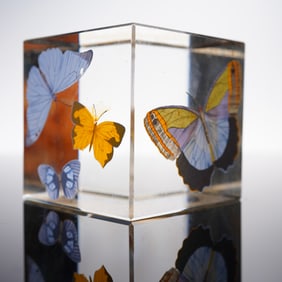 Lucite Butterfly Paperweight Cube