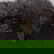 item-210494170=3