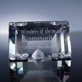 Swarovski Crystal Plaque, Wonders of the Sea Community 2007 with Box