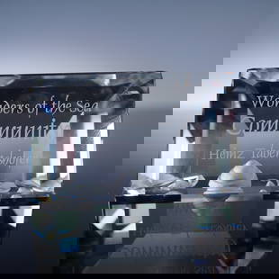 Swarovski Crystal Plaque, Wonders of the Sea Community 2007 with Box: This Swarovski crystal plaque titled Community was issued in 2007 as part of the Wonders of the Sea trilogy. Designed by Heinz Tabertshofer, the plaque features precision-cut crystal with frosted mari