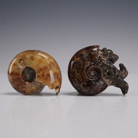 2pc Fossil Ammonite Pair with Natural Polished Finish